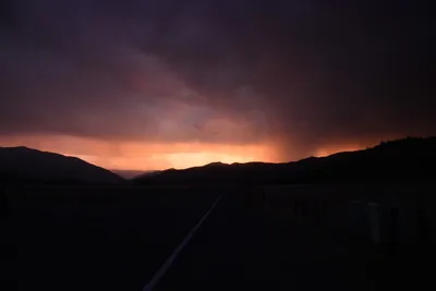 DSC_1838 (Large).JPG